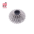 ThinkRider | 8-9 Speed Cassette